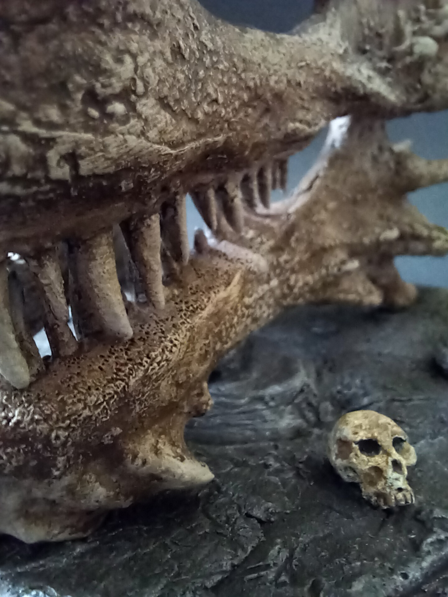 برای خرید روی عکس کلیک کنید